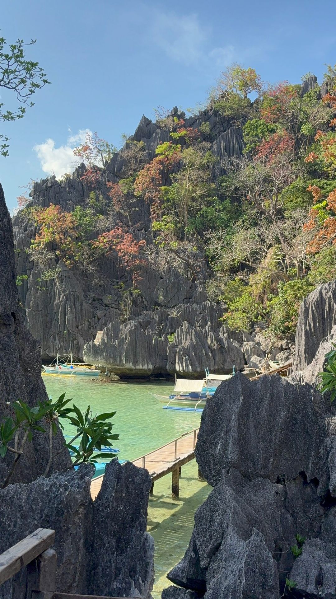Super Ultimate Private Tour — photo 1